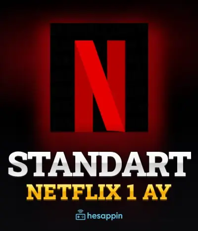 Netflix Standart Hesap (1 Ay)