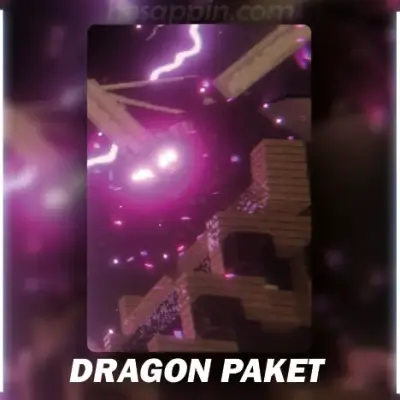 Minecraft Dragon Hesap